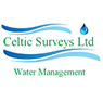 Celtic Surveys
