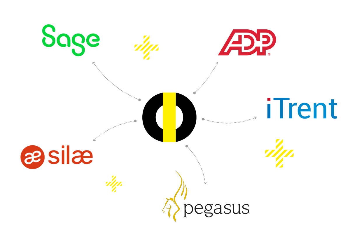Automate exportation to your payroll software