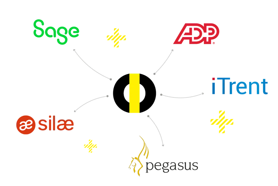 Automate exportation to your payroll software