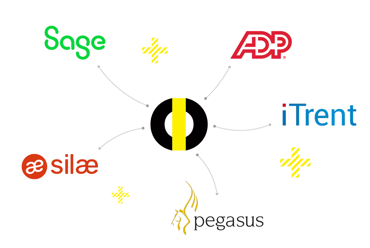 Automate exportation to your payroll software