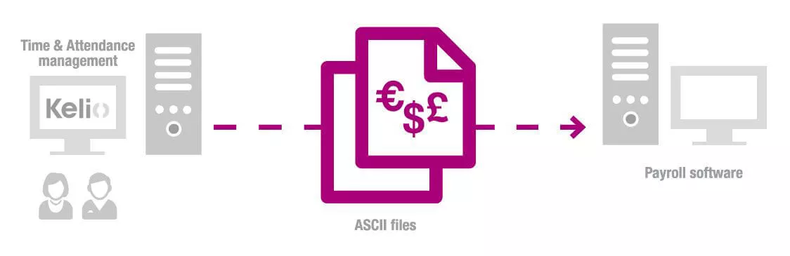 Payroll Interface - Time and Attendance